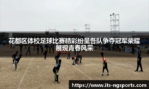 ng体育